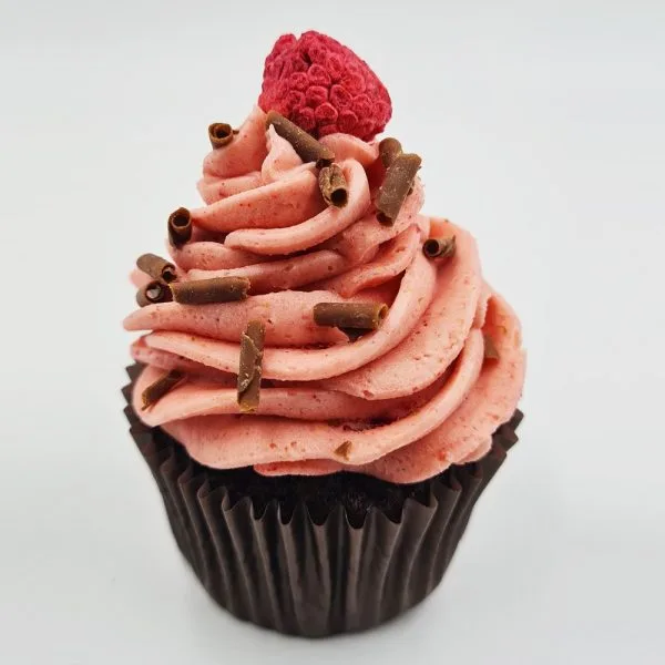Chocolate Raspberry Cupcake