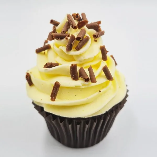 Chocolate Vanilla Cupcake